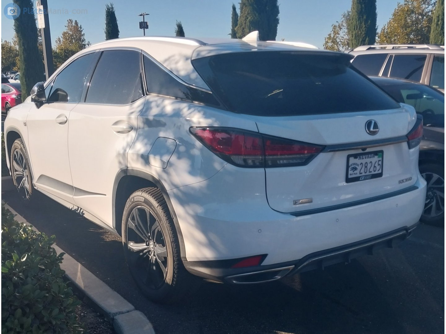 28265, Lexus RX 4th gen (AL20), facelift, 2019–2022