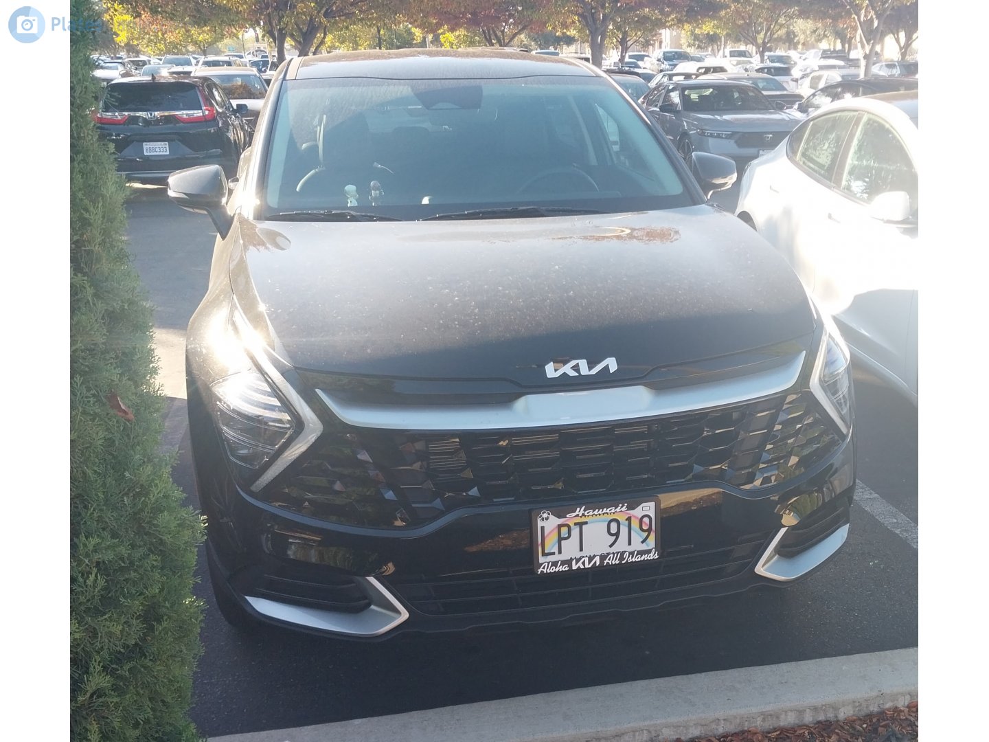 LPT 919, Kia Sportage 5th gen (NQ5), 2021­–2025