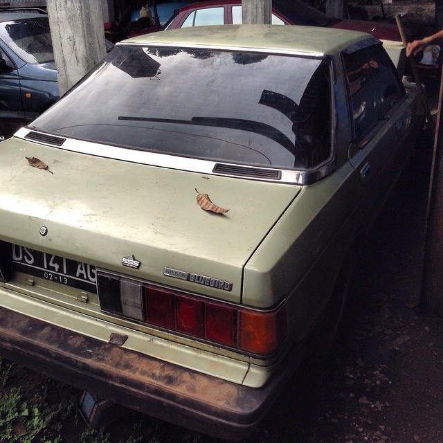 DS 141 AG, Nissan Bluebird 6th gen Hardtop (910), 1981–1993