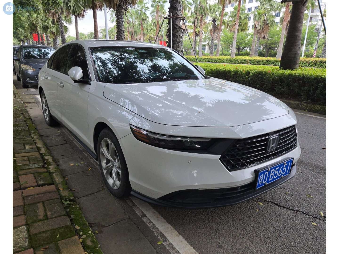 琼D·B5651, Honda Accord 11th gen (CY), 2023–