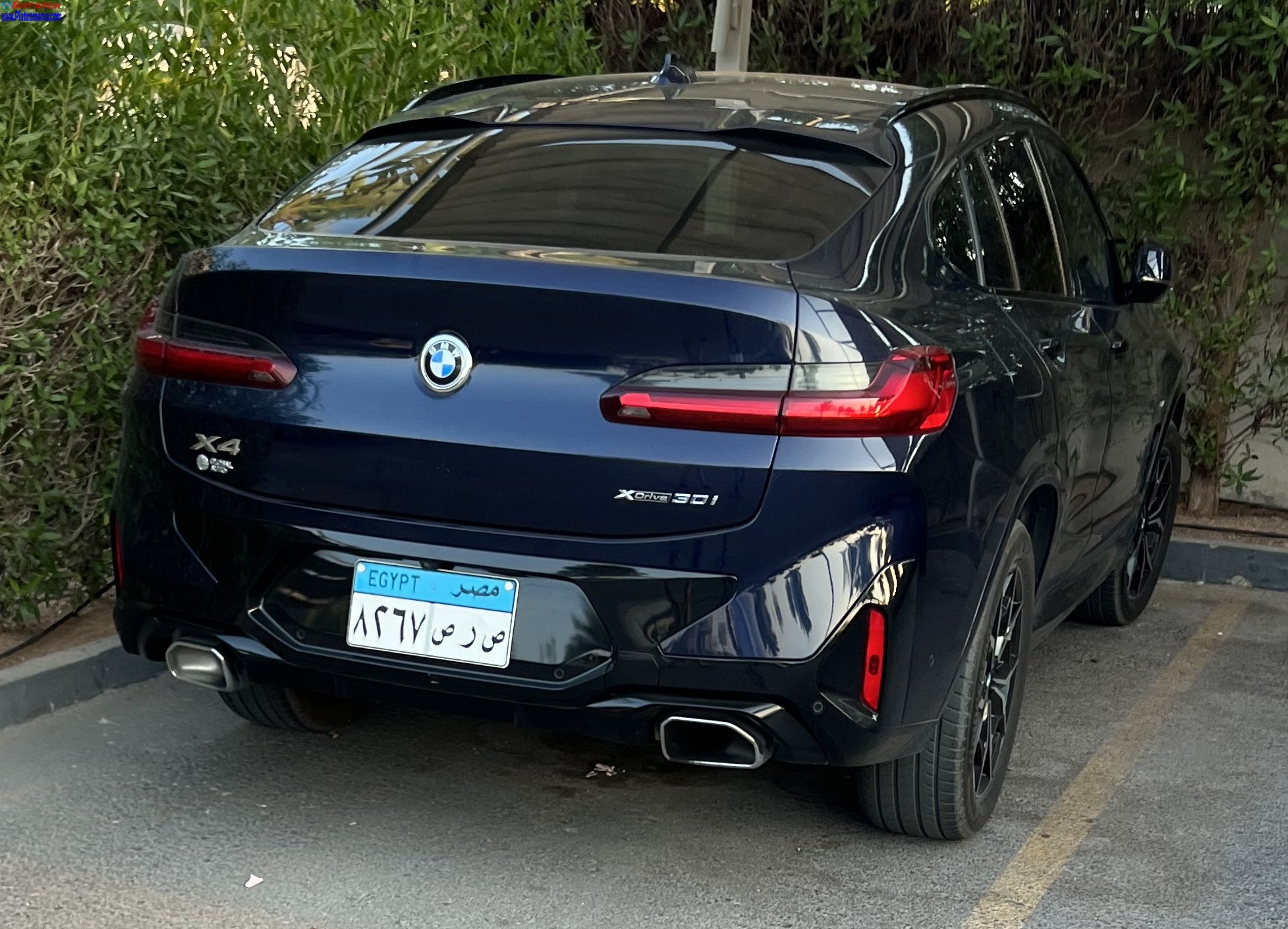 ٨٢٦٧ صرص, BMW X4 