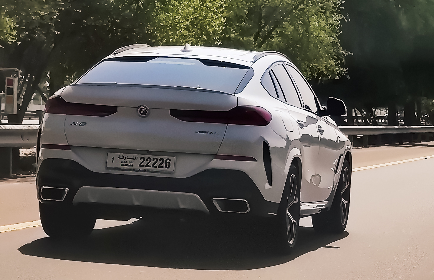 1 22226, BMW X6 3rd gen (G06), 2019–