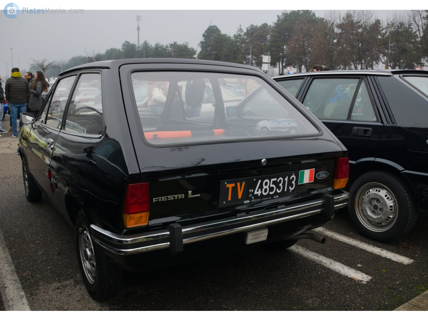 TV 485313, Ford Fiesta 1st gen Hatch (FBT), 1976–1983