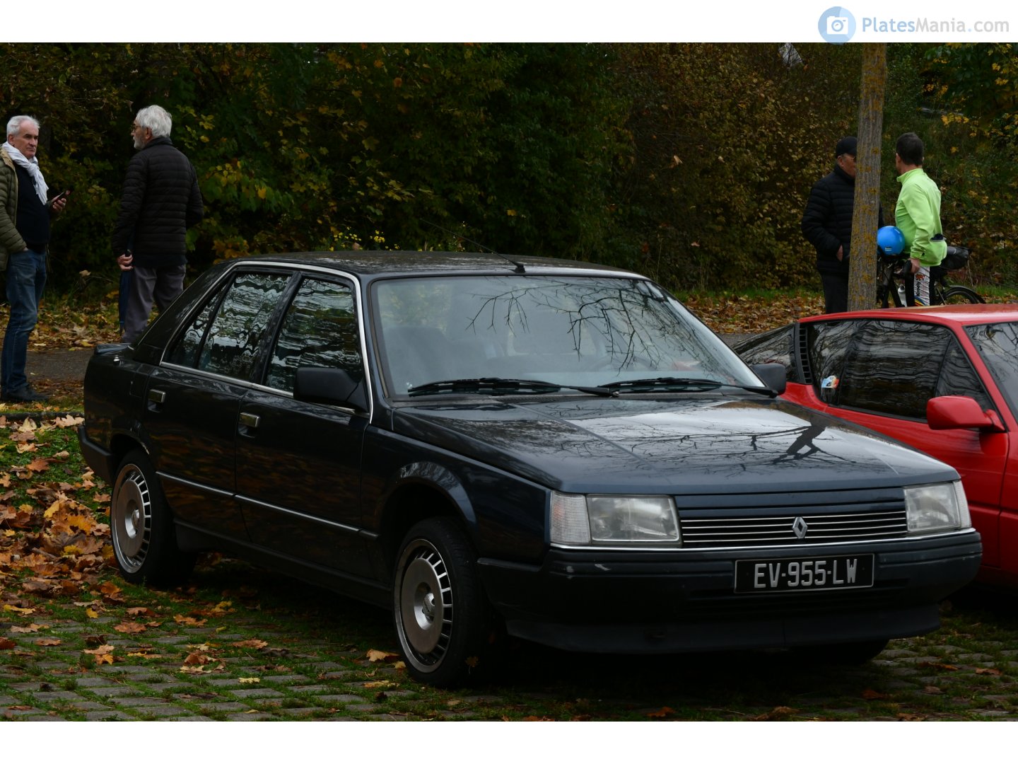 EV-955-LW, Renault 25 1st gen (B29), 1984–1988