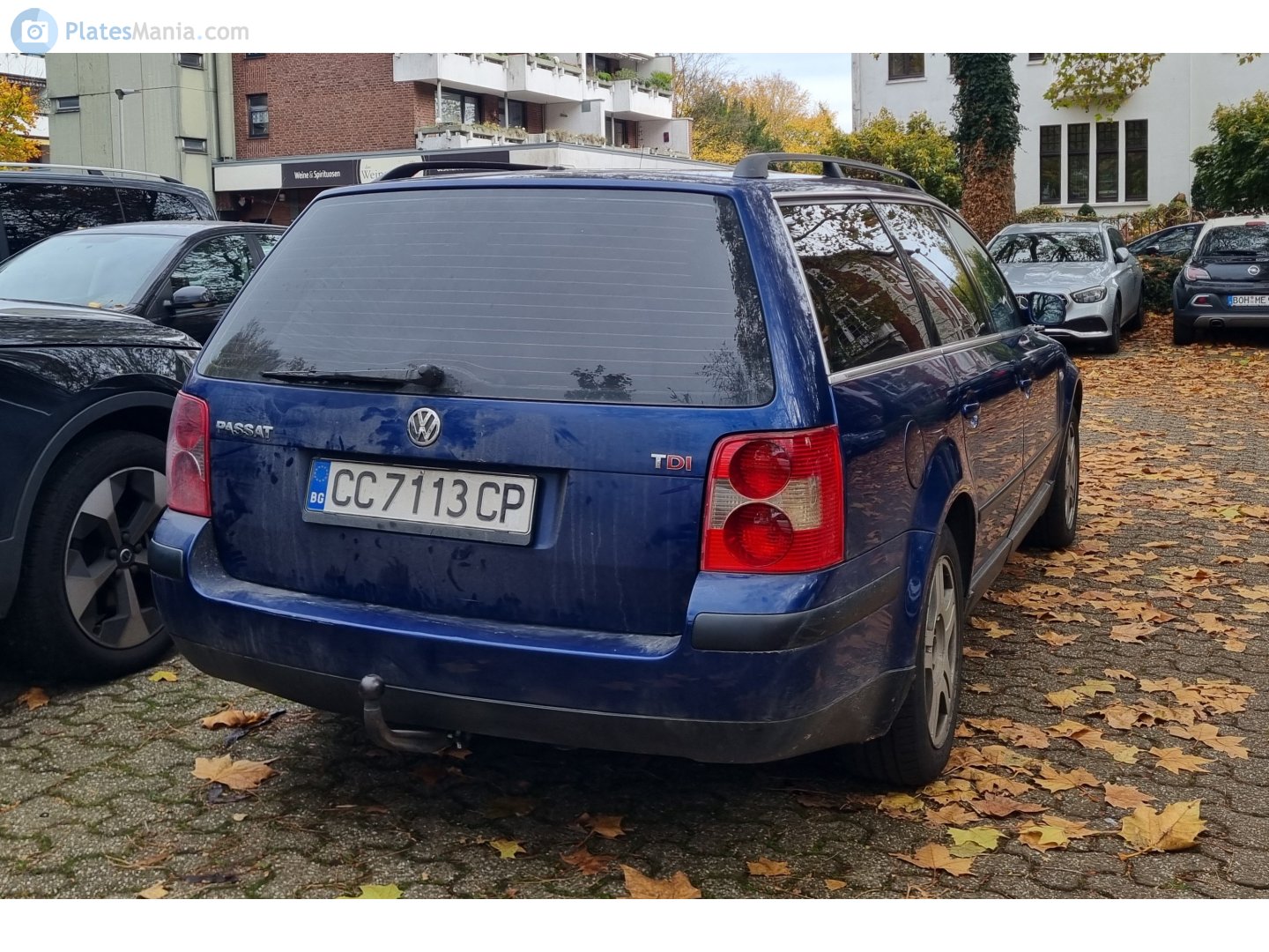 CC 7113 CP, Volkswagen Passat 5th gen Variant (B5.5; 3BG), facelift, 2000–2005