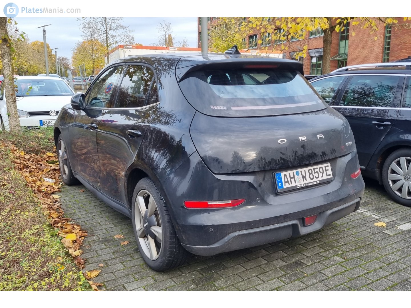 AH W 859 E, Ora (Oula) 03/ Haomao/ Good(Funky) cat 1st gen (ES11), 2020–