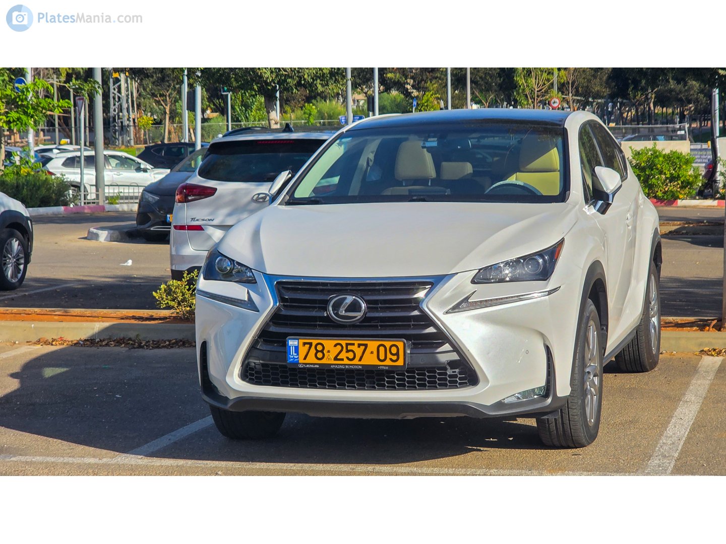 78-257-09, Lexus NX 1st gen (AZ10), 2014–2017