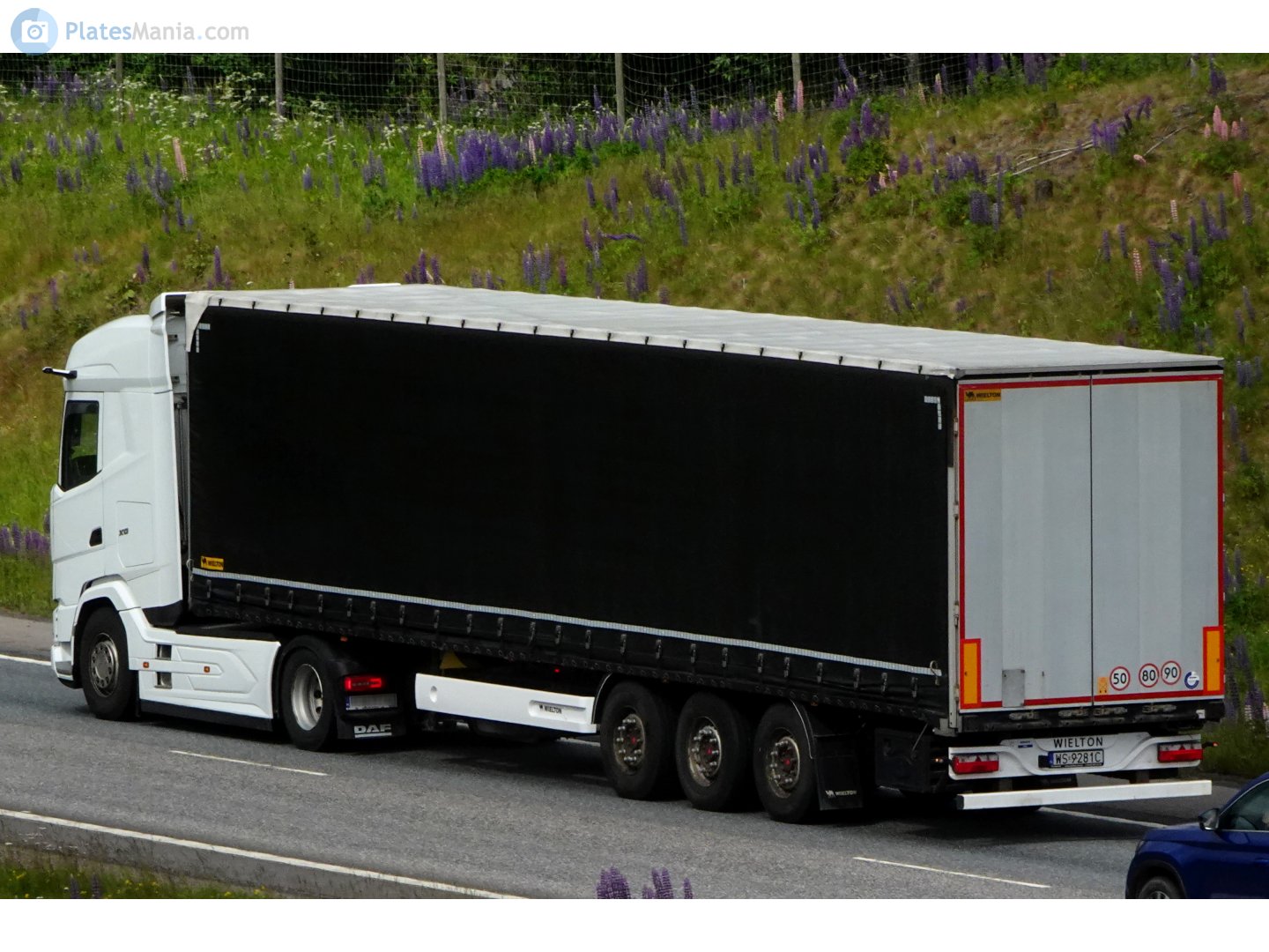 WS 9281C, Wielton NS 