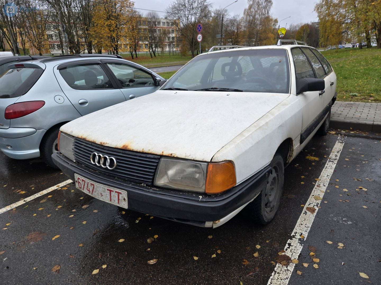 6747 TT, Audi 100 3rd gen Avant (C3/44), 1982–1991