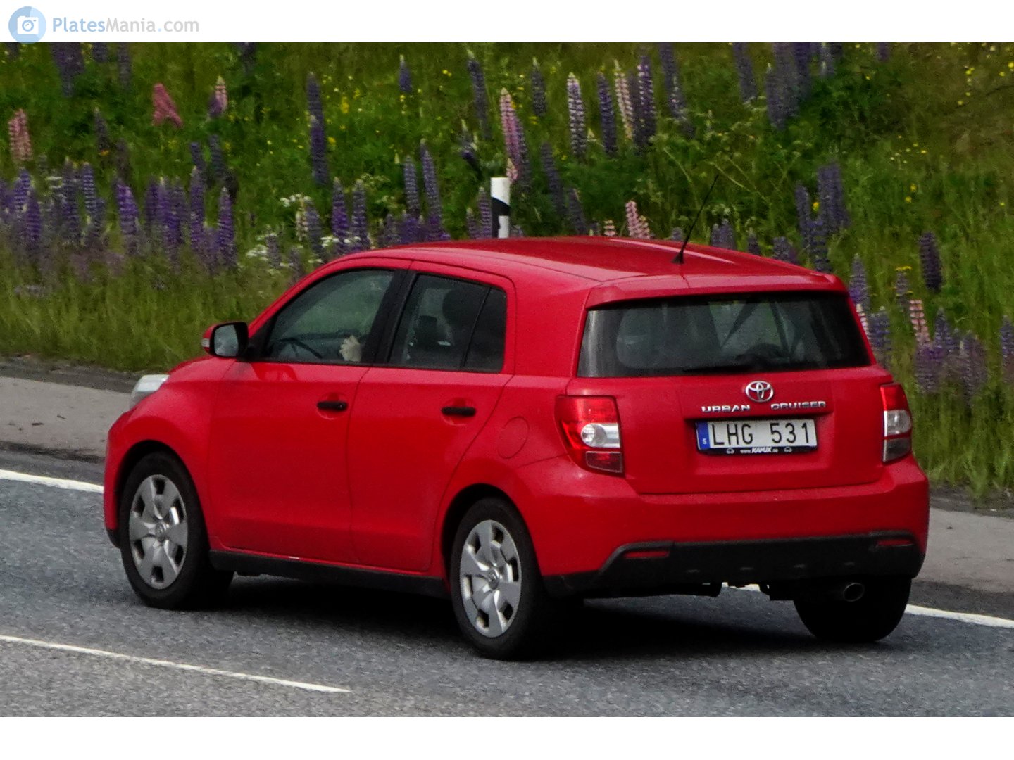 LHG 531, Toyota Urban Cruiser 1st gen (XP110), 2008–2014