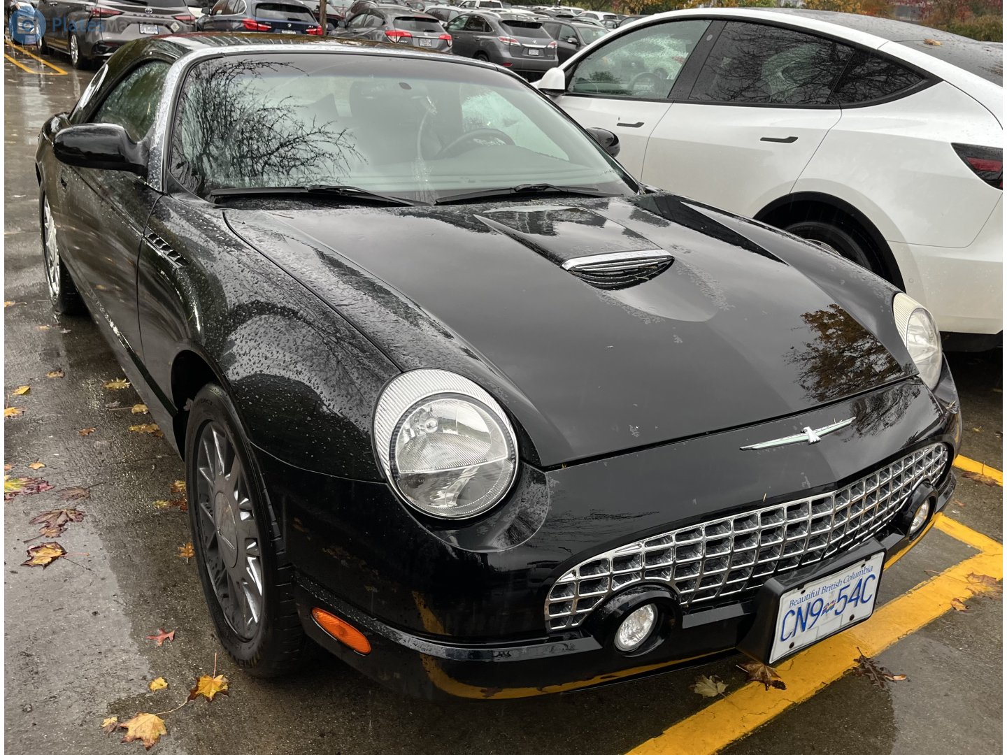 CN9-54C, Ford Thunderbird 11th gen Convertible, 2002–2005