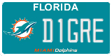 Florida, Specialty plates (XXXXX)