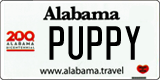 Alabama, Specialty plates