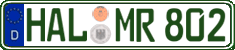 German license plate, Regular plates