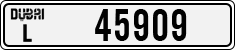 L 45909