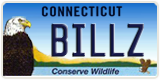 Connecticut, Vanity Plates