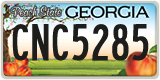 Georgia, ABC 1234