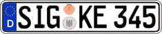 German license plate, Regular plates