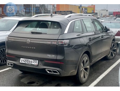 х488вв250, Volkswagen Tavendor