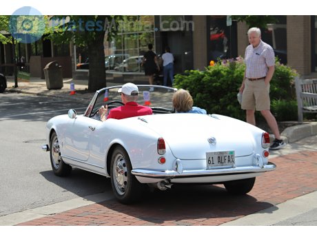61 ALFA, Alfa Romeo Giulietta