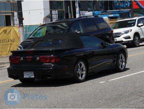 718-SDL, Pontiac Firebird