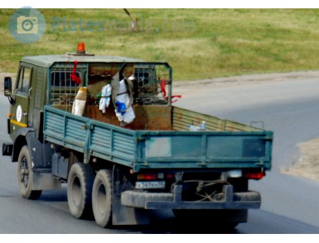 а241кн55, KamAZ 5320/5321