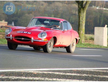 1610 WF 59, Jaguar E-Type