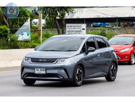 กม 8690, BYD Dolphin / Haitun