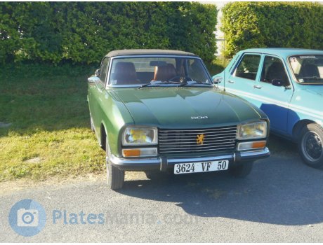 3624 VF 50, Peugeot 304