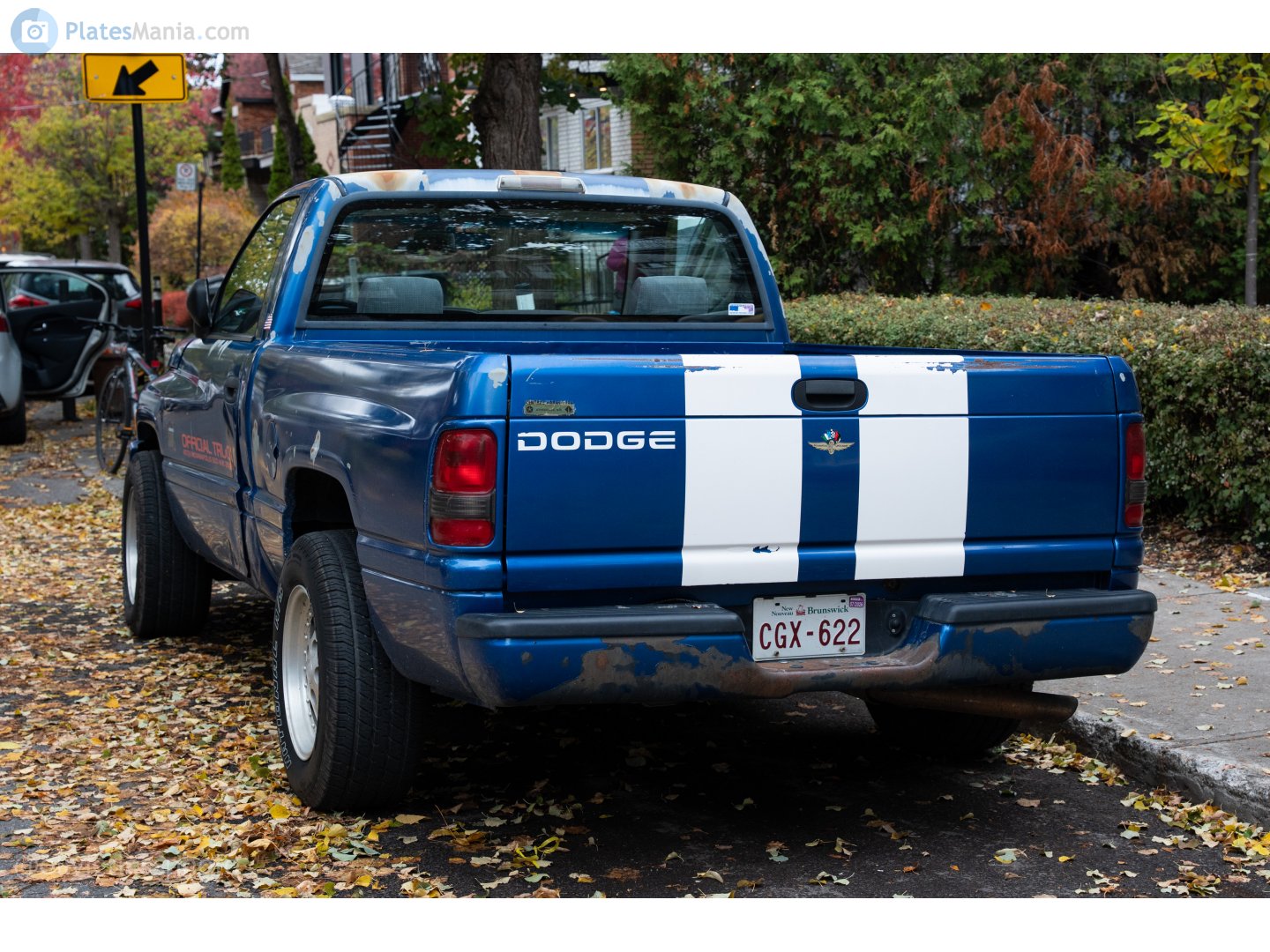 CGX-622, Dodge Ram 2nd gen (BR/BE), 1993–2002