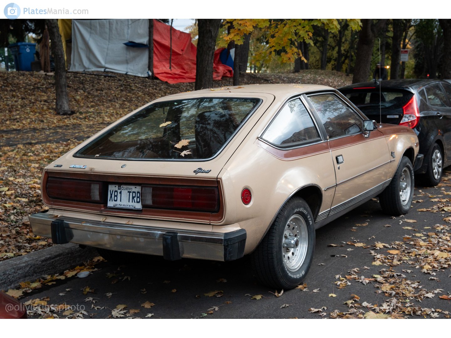 X81 TRB, AMC Spirit 1st gen 2-door Liftback (7943/8043/8143/8243/8343), 1978–1983