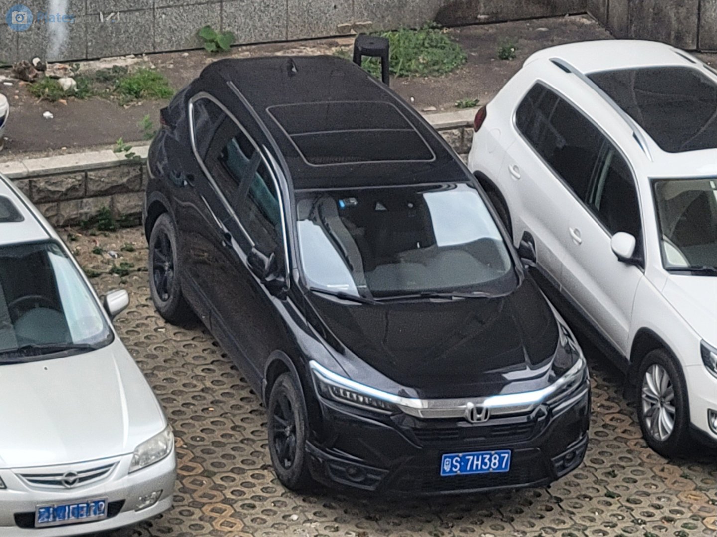 粤S·7H387, Honda Breeze 1st gen (RY), 2019–