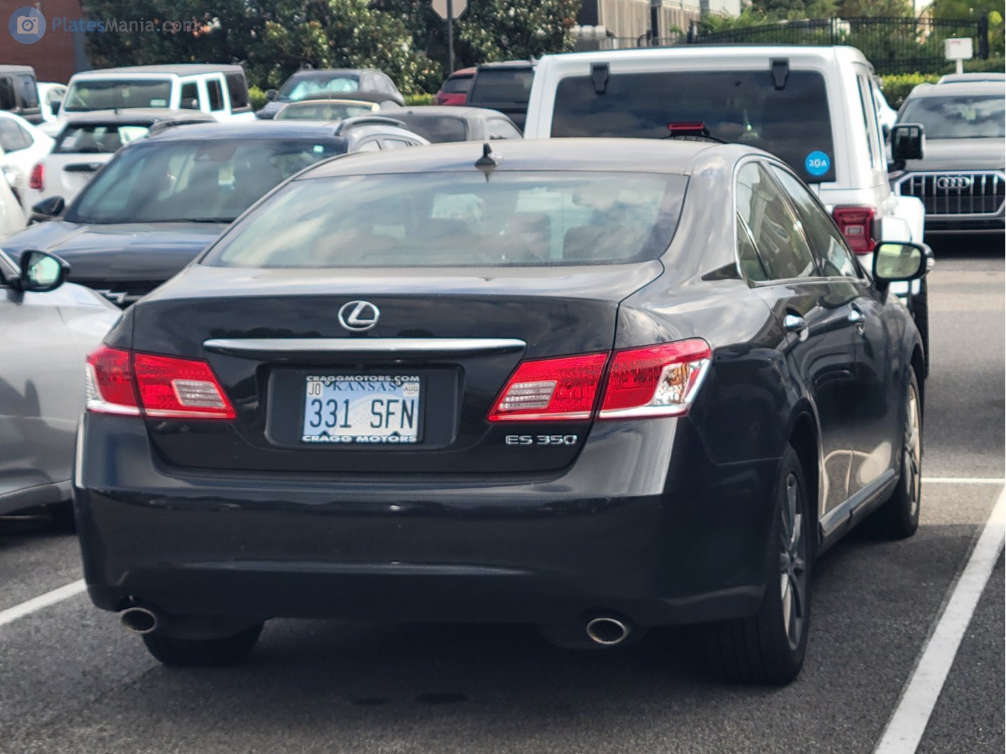331 SFN, Lexus ES 5th gen (XV40), 2006–2012