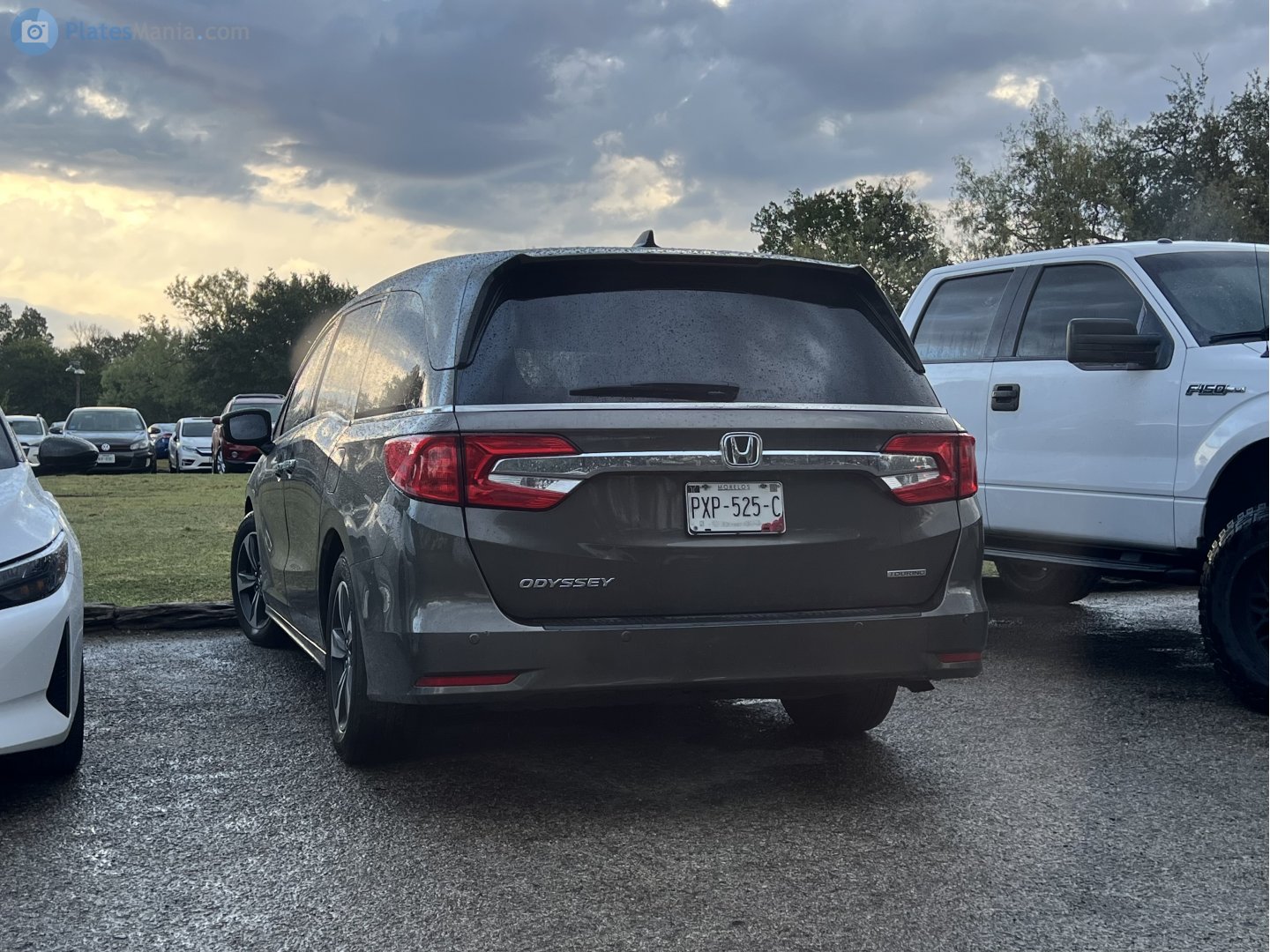 PXP-525-C, Honda Odyssey 5th gen (RL6; NA-market), 2017–