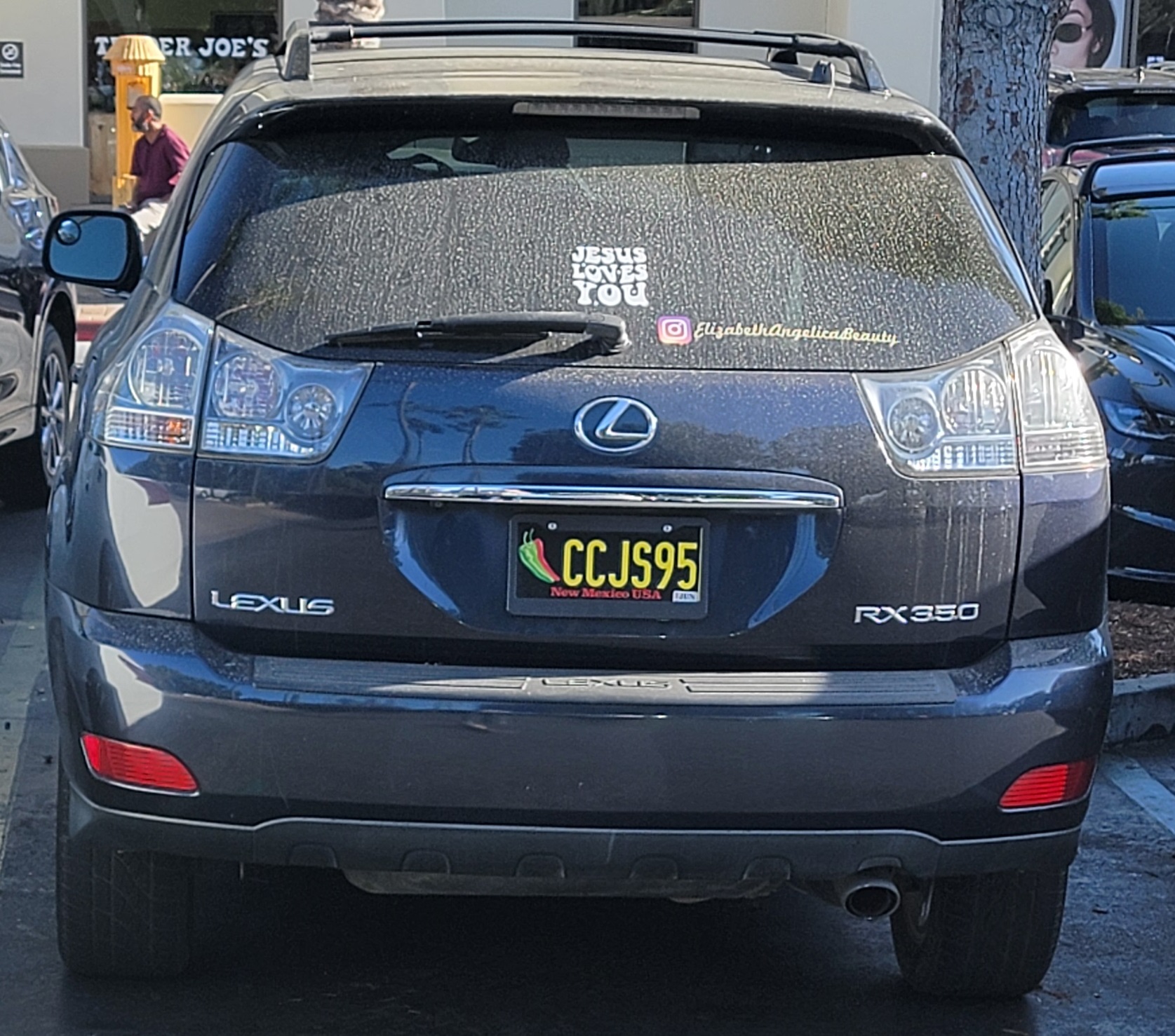 CCJS95, Lexus RX 2nd gen (XU30), 2003–2008