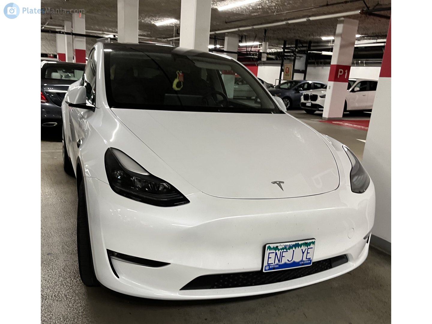 ENFJ YE, Tesla Model 3 1st gen (5YJ3), 2017–2023