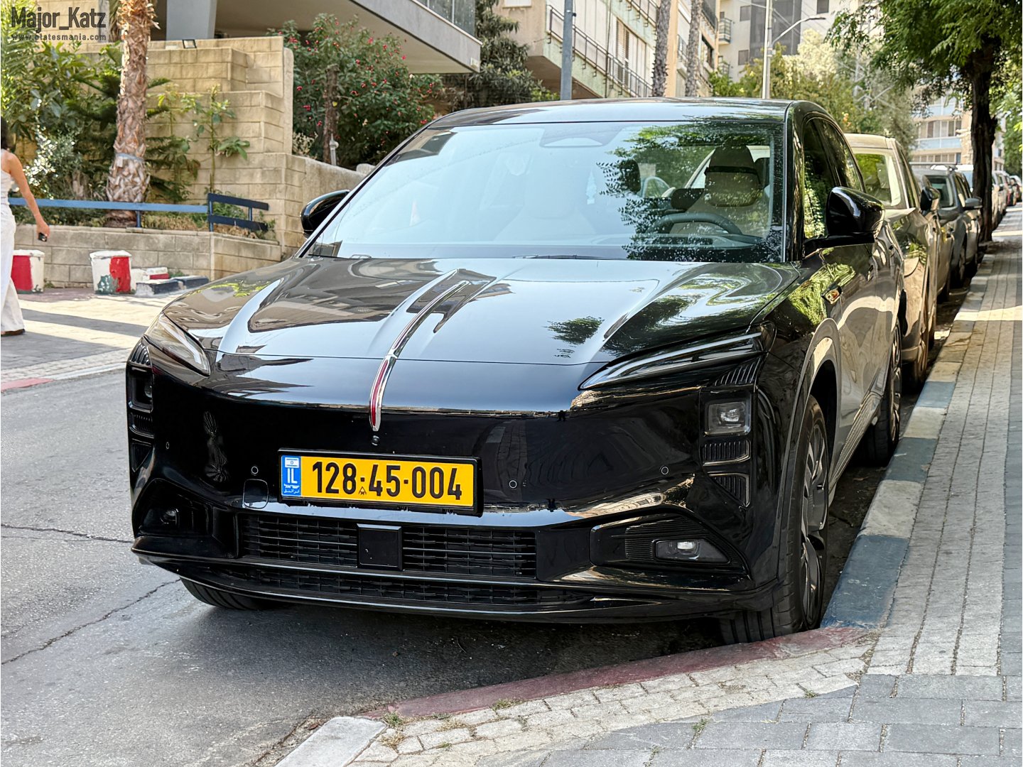 128-45-004, Hongqi EHS7 