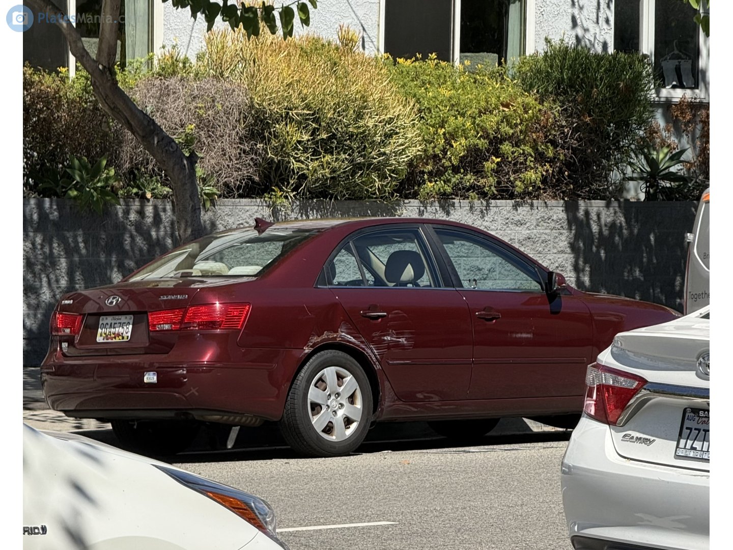 9GA5758, Hyundai Sonata 5th gen (Embera, Transform) (NF), facelift, 2008–2010