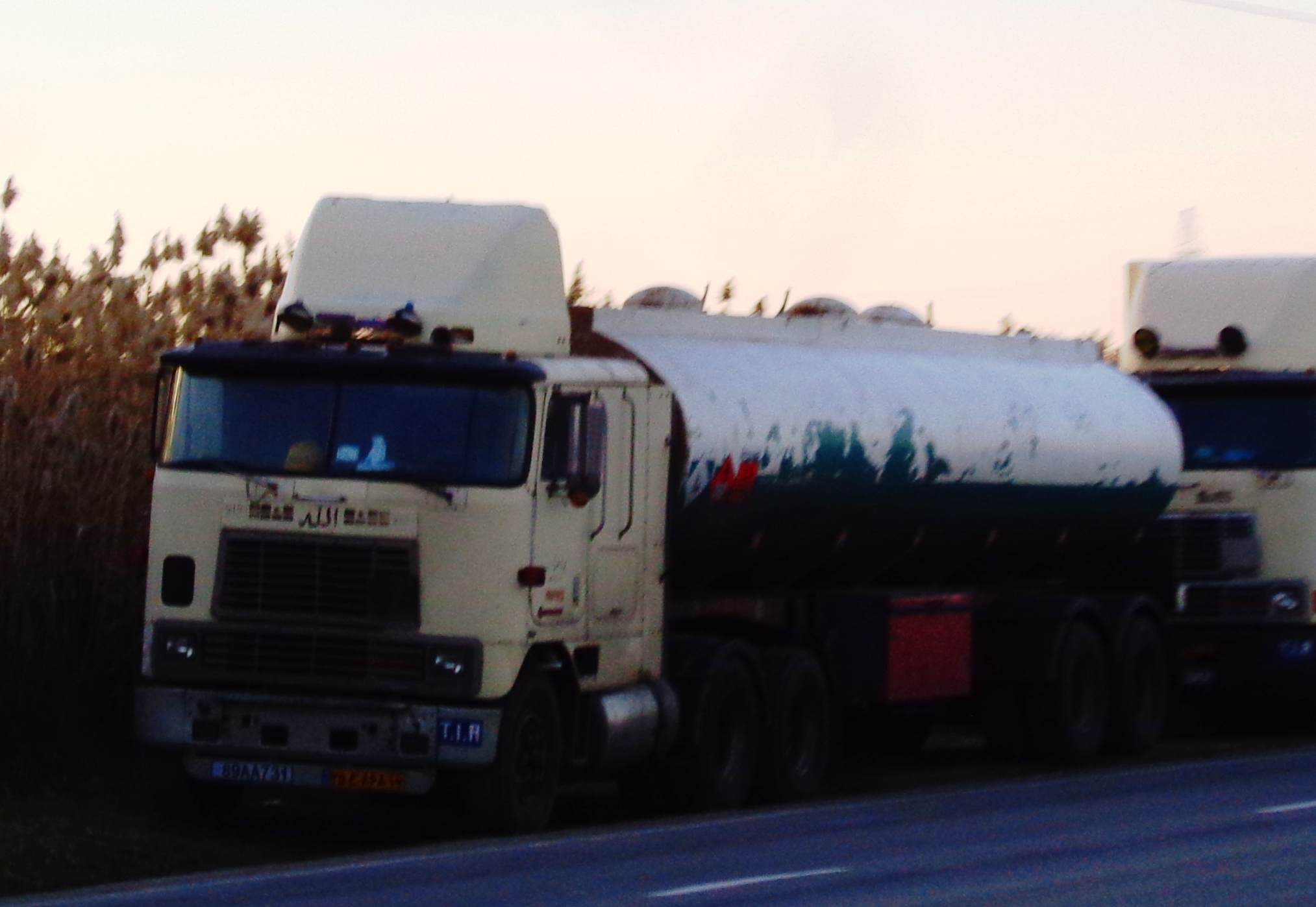 89AA731, International 9000-Series 9600-9870, 1981–