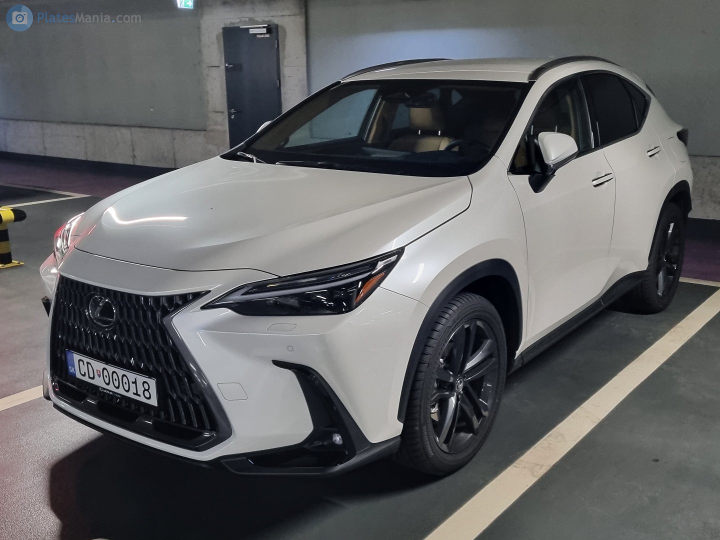 CD 00018, Lexus NX 2nd gen (AZ20), 2021–