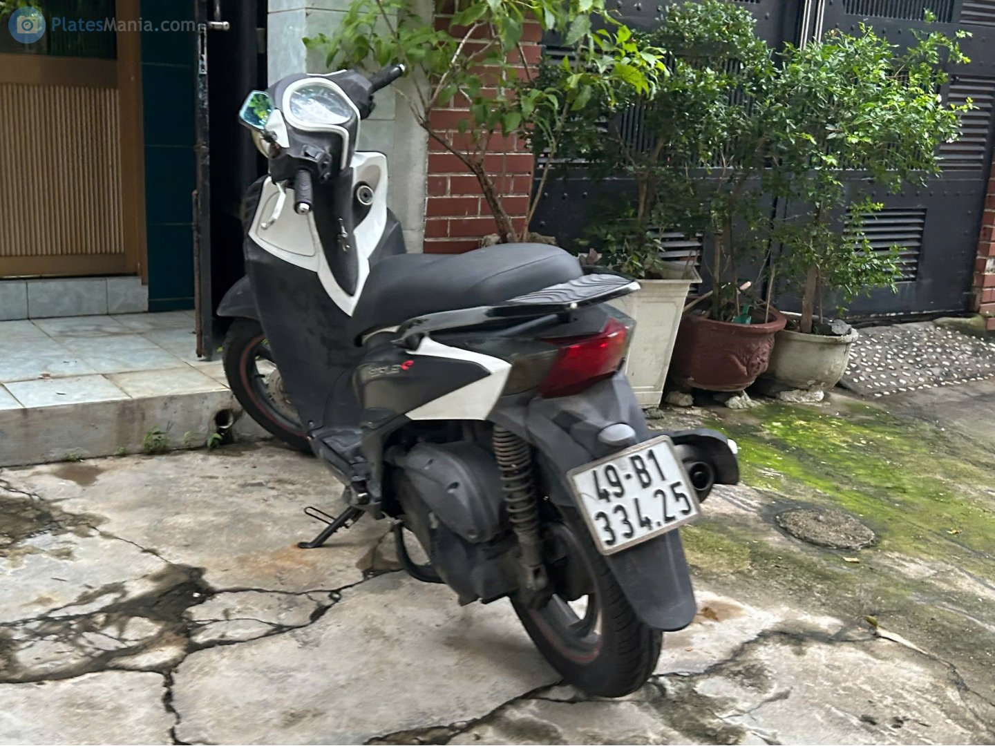 49-B1 334.25, Piaggio Liberty 