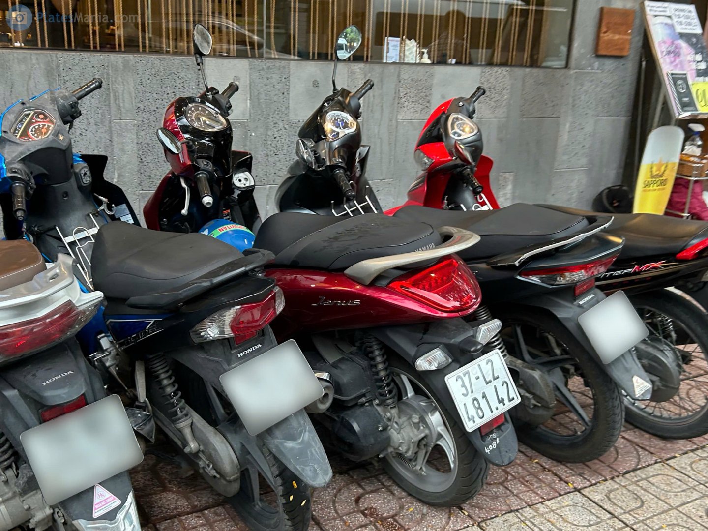 37-L2 481.42, Yamaha Janus 