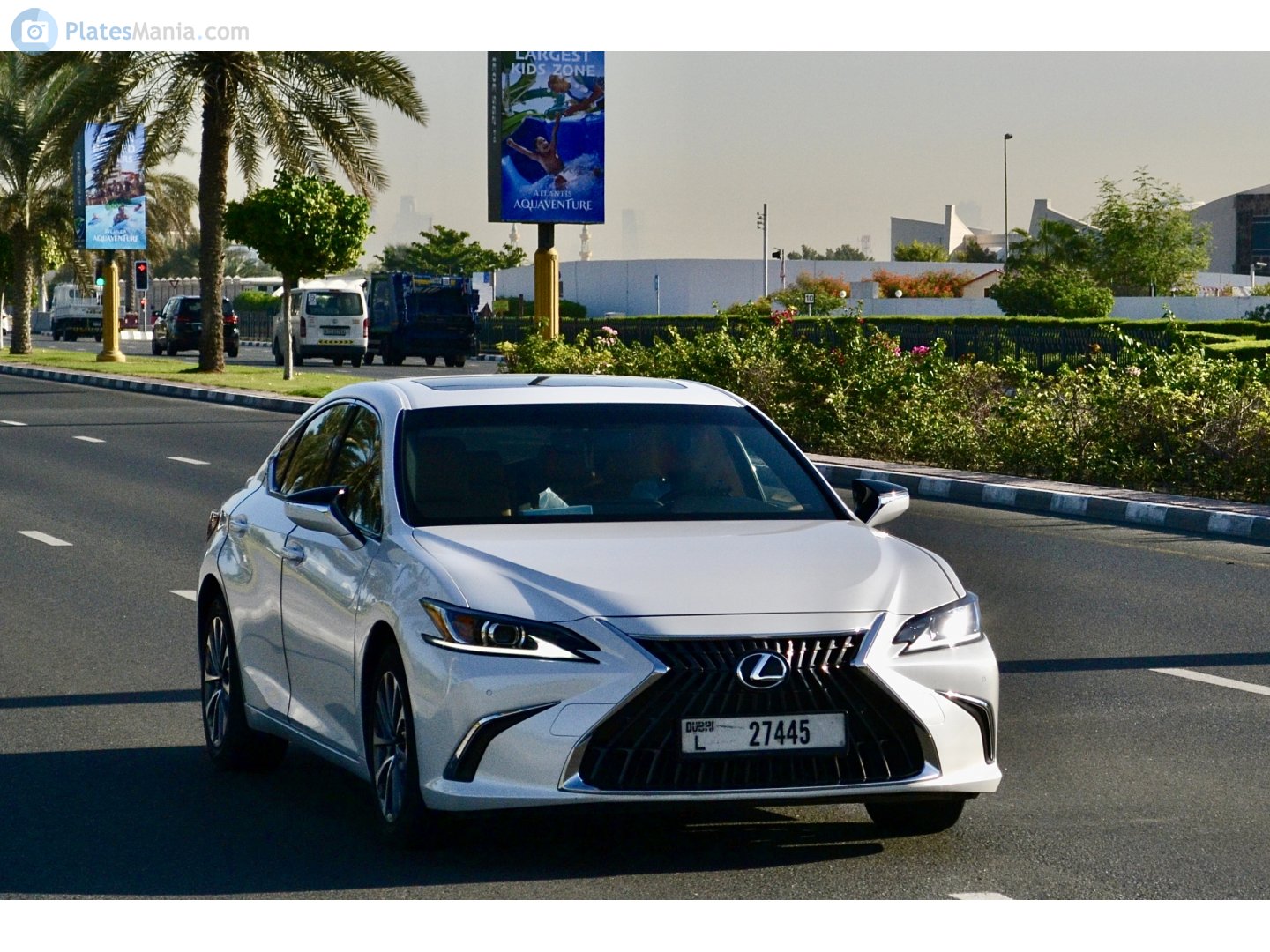 L 27445, Lexus ES 7th gen (XZ10), 2018–