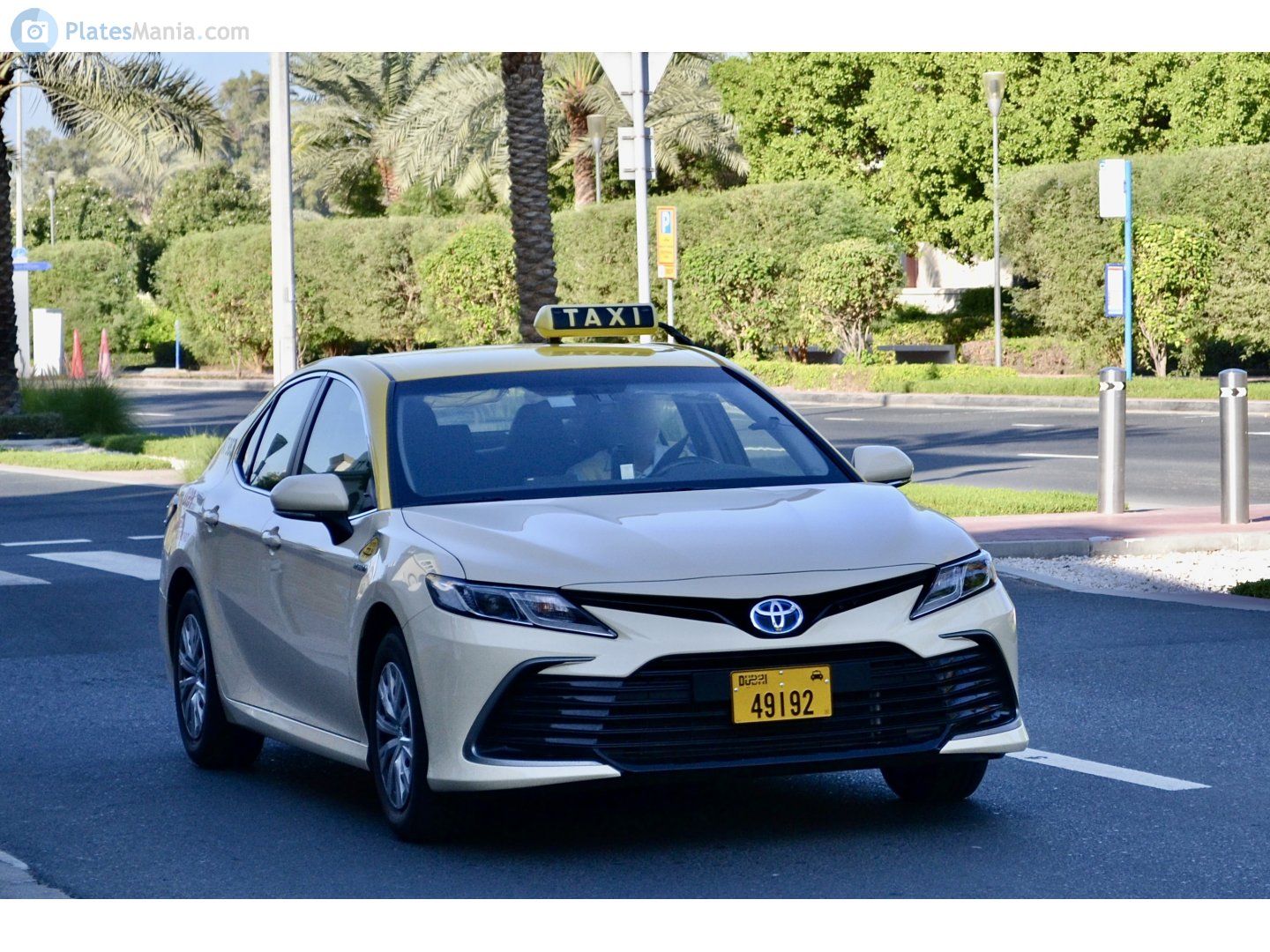 49192, Toyota Camry 8th gen (XV70), 2017–