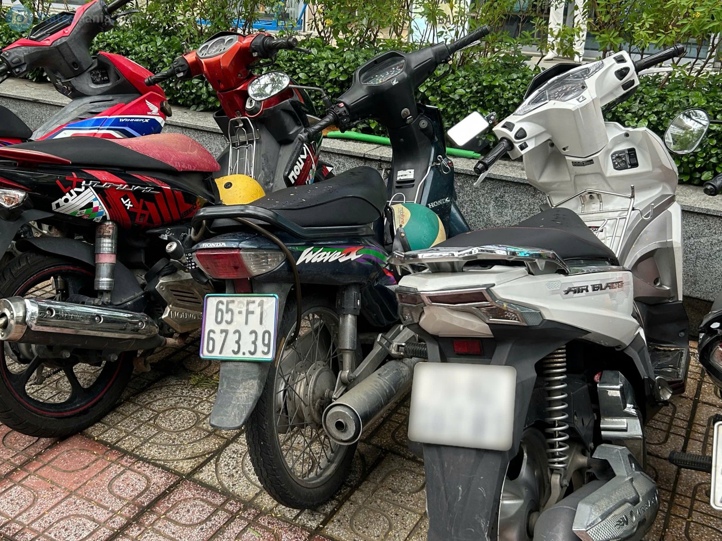 65-F1 673.39, Honda Wave 