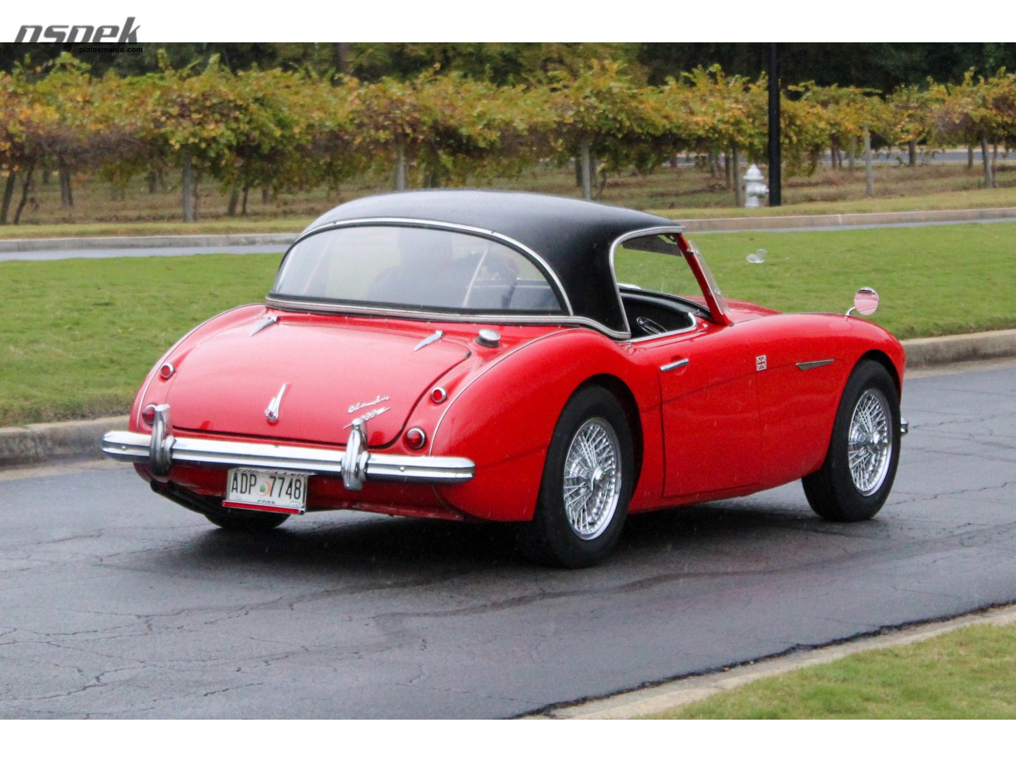 ADP 7748, Austin-Healey 100/3000 