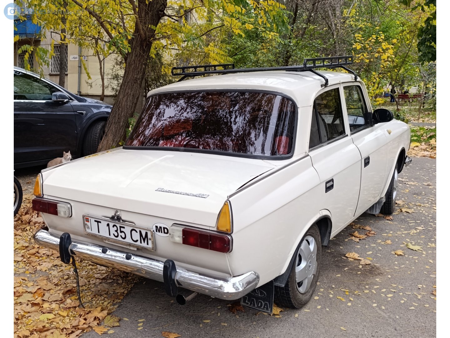 T 135 CM, Izh Москвич-408/412 (Moskvich-408/412) 412ИЭ-028, 1982–1999