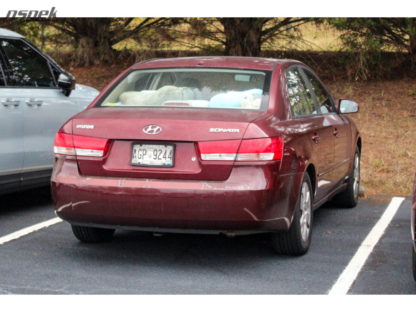 AGP 9244, Hyundai Sonata 5th gen (Embera) (NF), 2004–2008