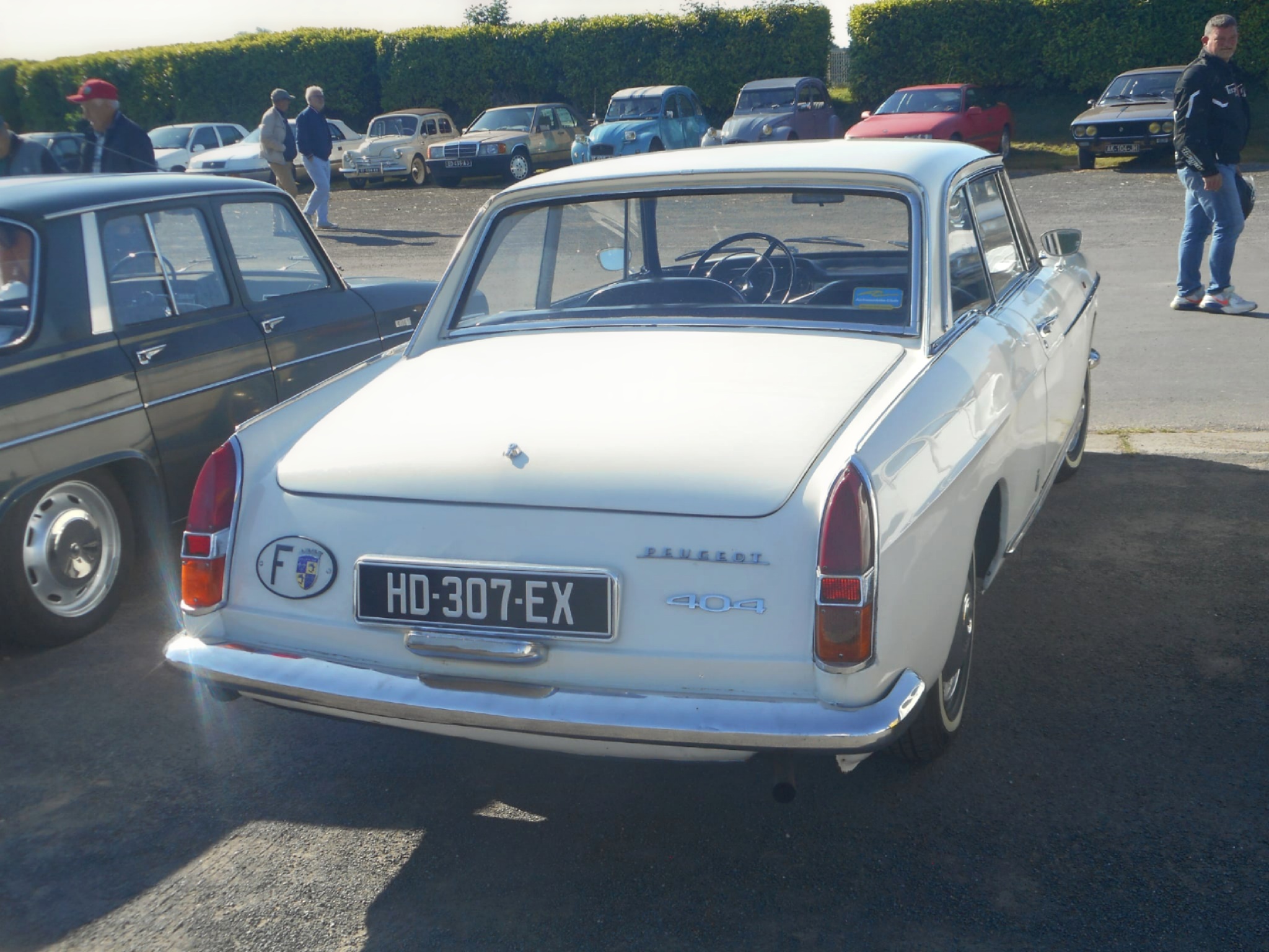HD-307-EX, Peugeot 404 Coupé, 1963–1969