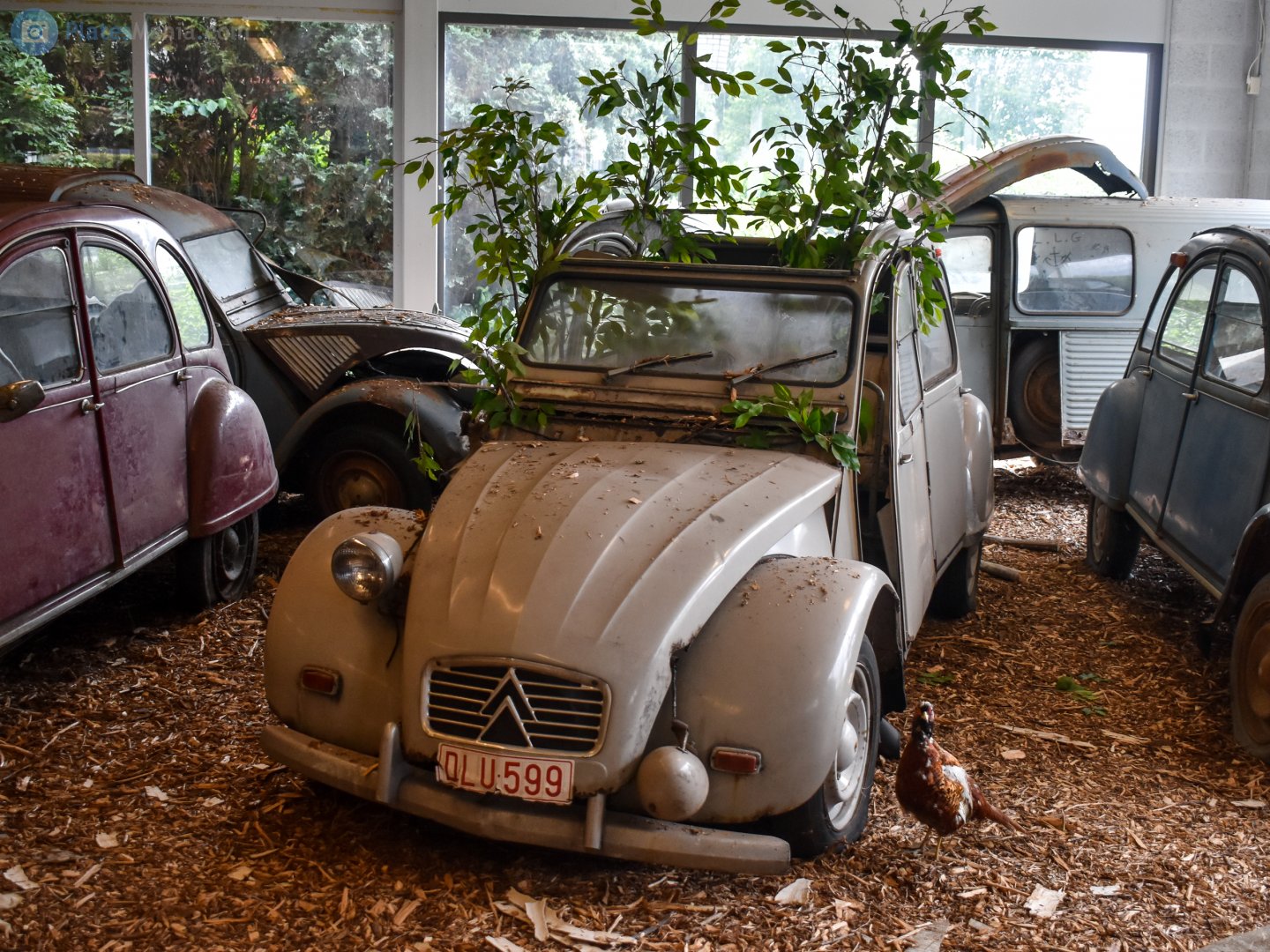 OLU-599, Citroёn 2CV 1st gen Sedan, 1949–1990